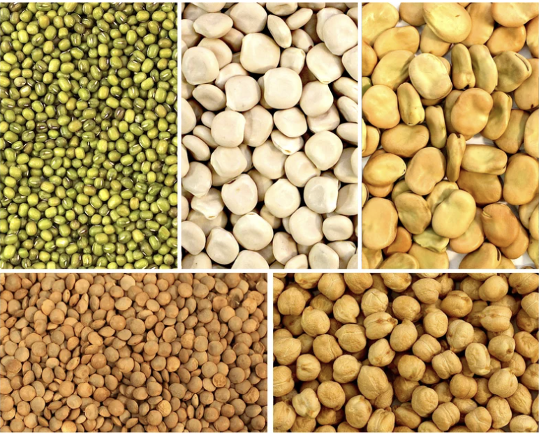 Pulses commodities